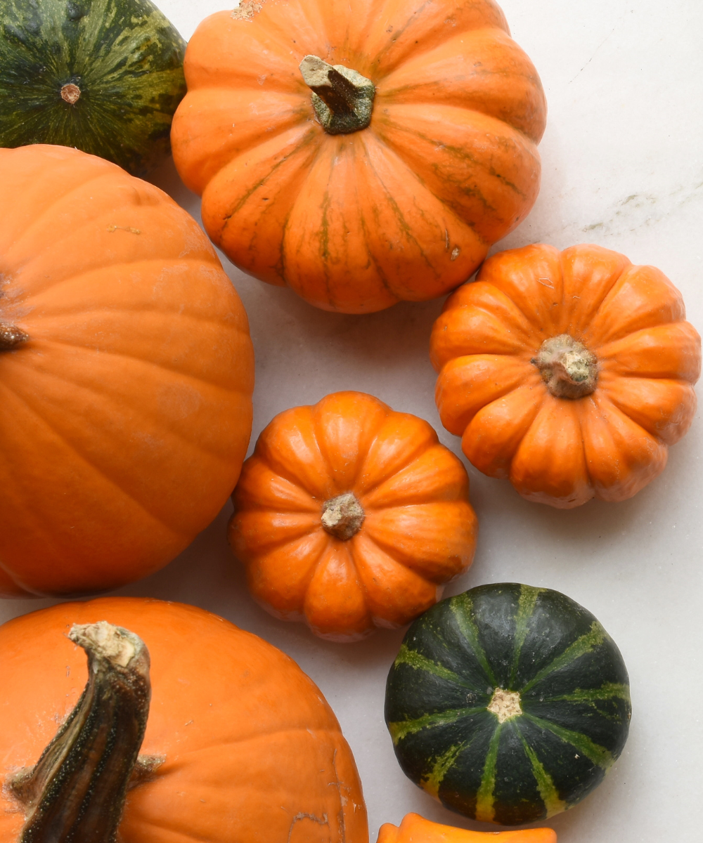 A variety of pumpkins