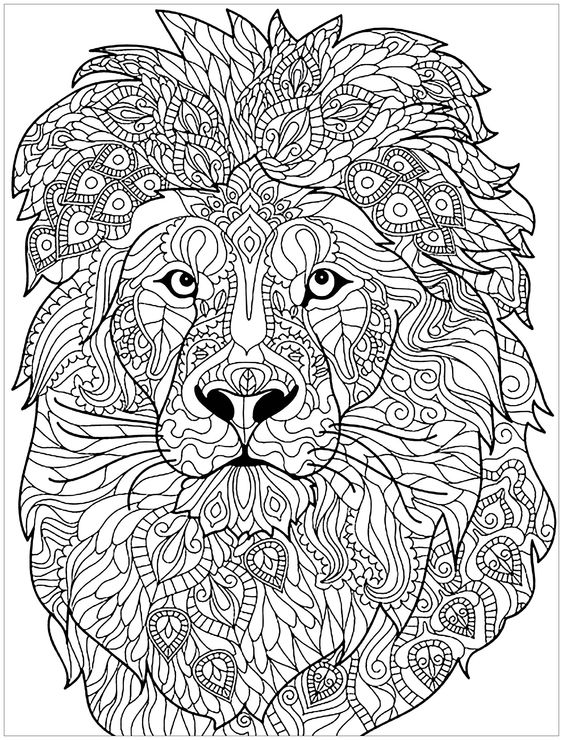 lioncoloringpage