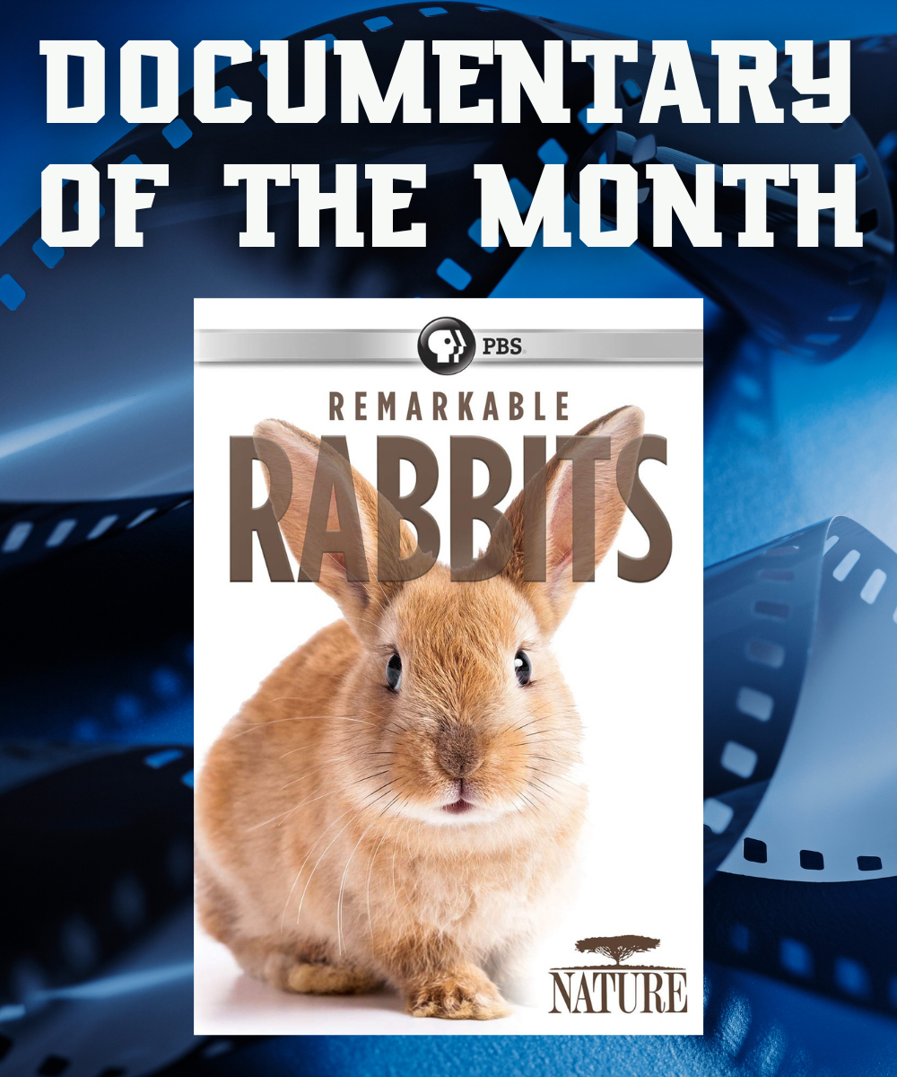 Documentary of the Month: "Remarkable Rabbits"