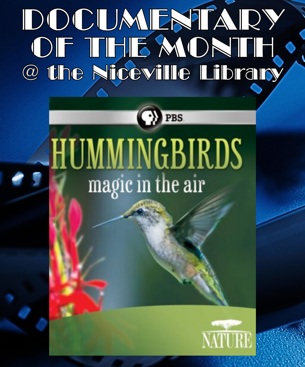 Documentary of the Month - "Hummingbirds: Magic in the Air"