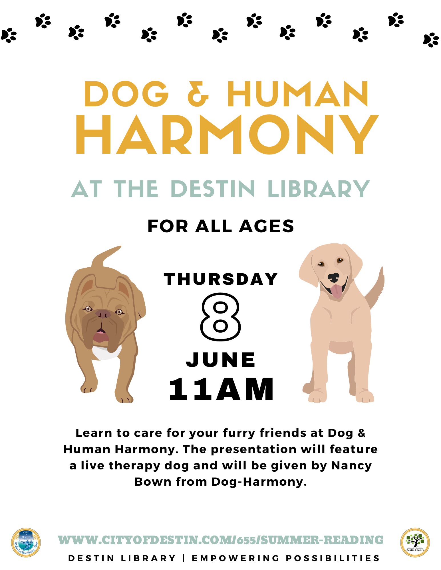 Dog & Human Harmony