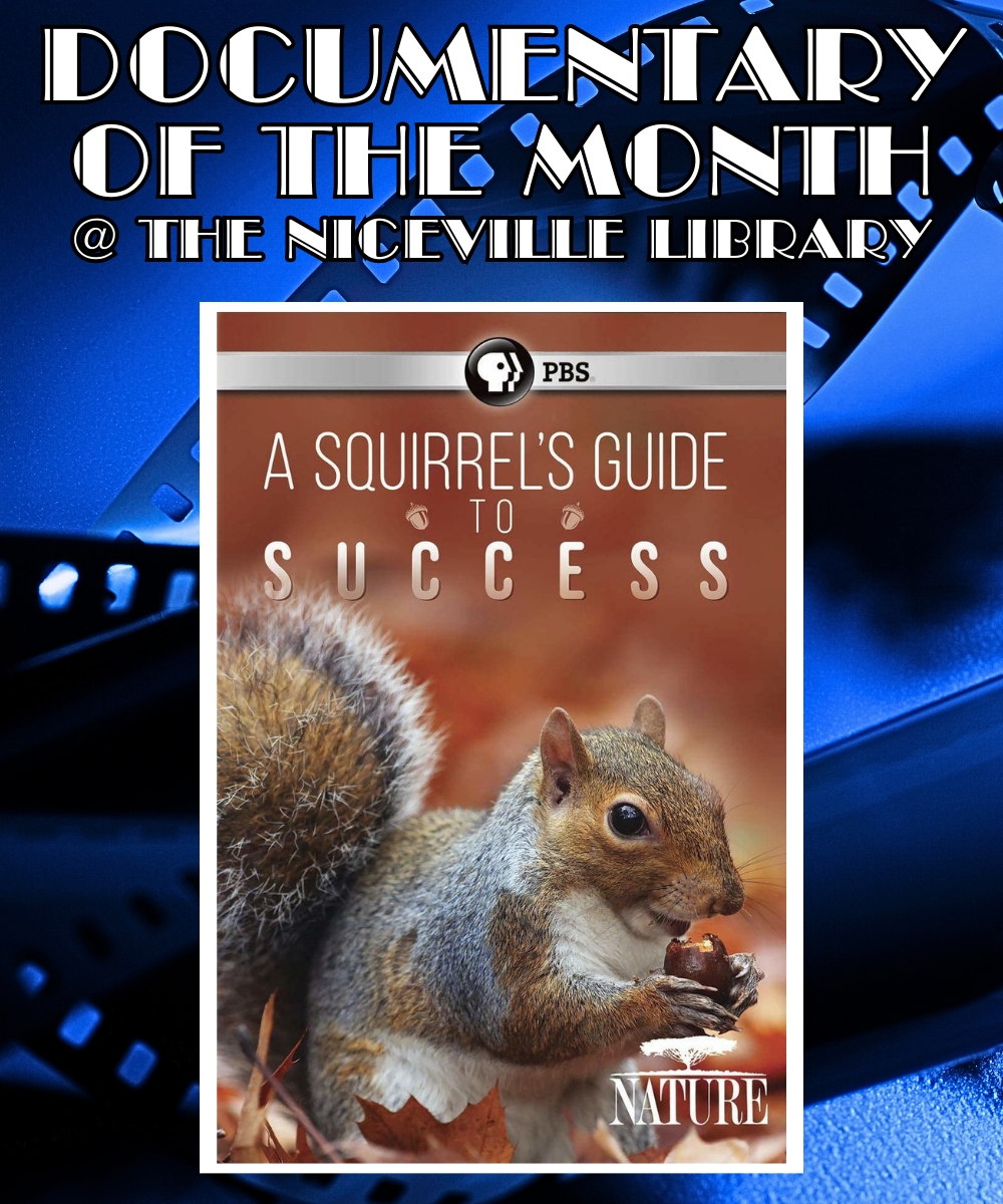 Documentary of the Month: "A Squirrel's Guide to Success"