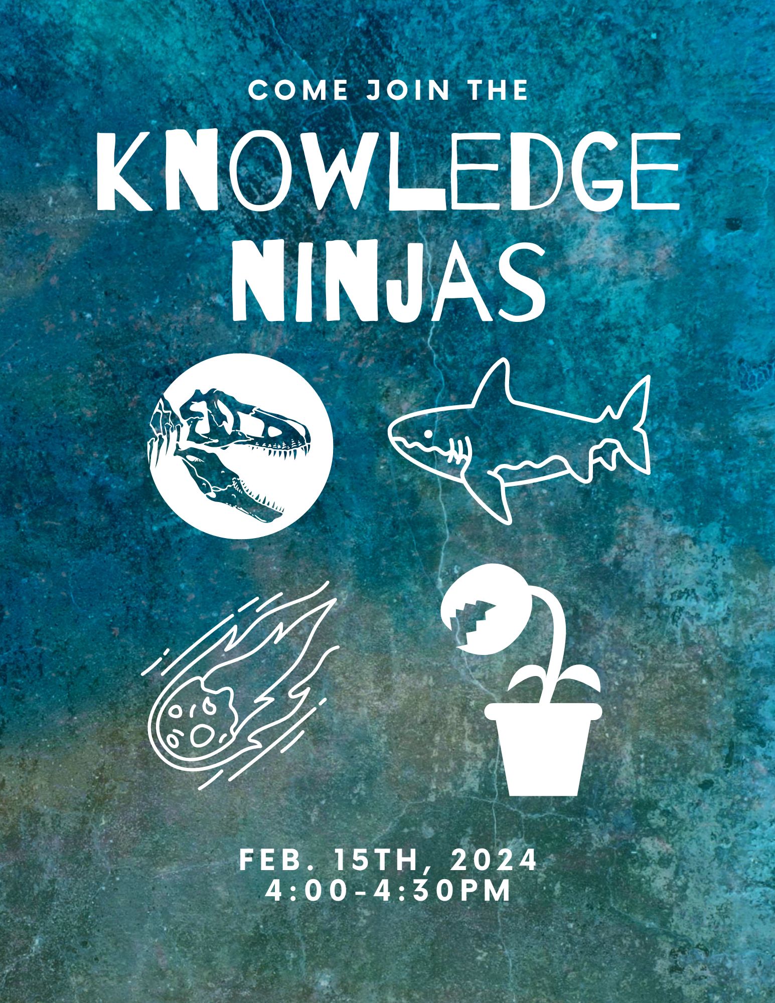 knowledge ninjas graphic