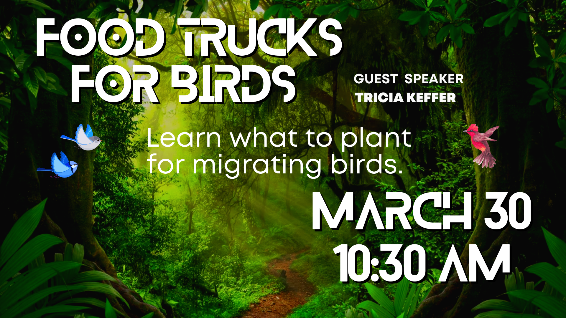 Food Trucks for birds