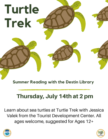 Turtle Trek with Jessica Valek