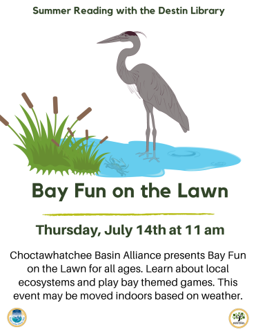 Bay Fun on the Lawn