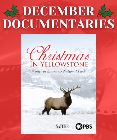 December Documentaries Christmas in Yellowstone