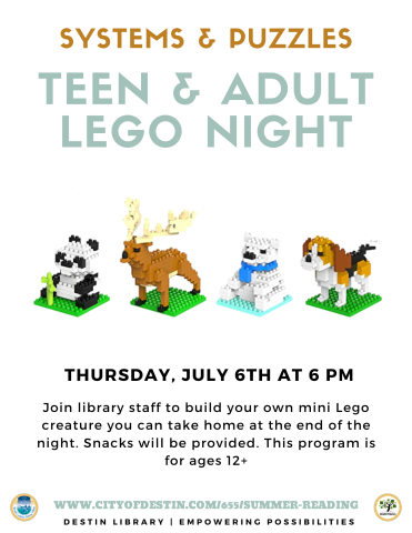 Teen & Adult Lego Night