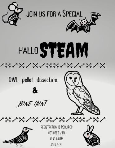 grey and white background with cute animal skeletons promoting a special halloSTEAM owl pellet dissection and bone hunt