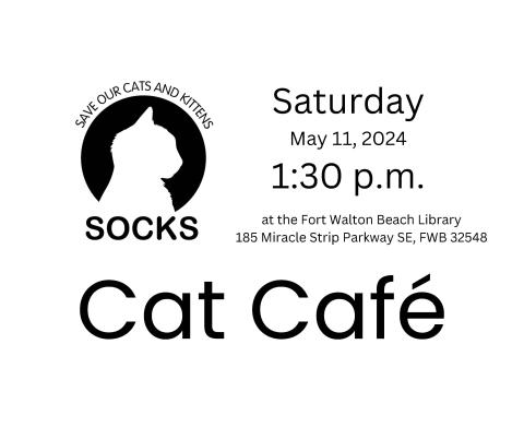 Cat Café at the FWB in partnership with SOCKS