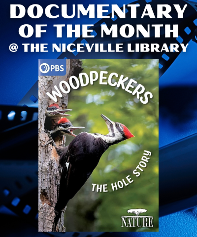 Documentary of the Month: "Woodpeckers: The Hole Story"