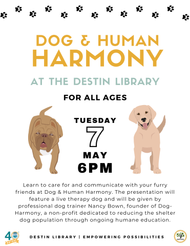 Dog & Human Harmony