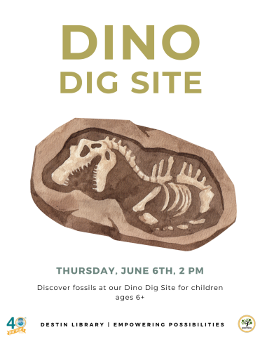 Dino Dig Site