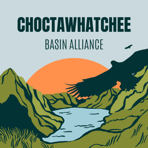 Image has a grey background with mountains, a water basin, shadows of birds, and the sun. It reads "Choctawhatchee Basin Alliance."