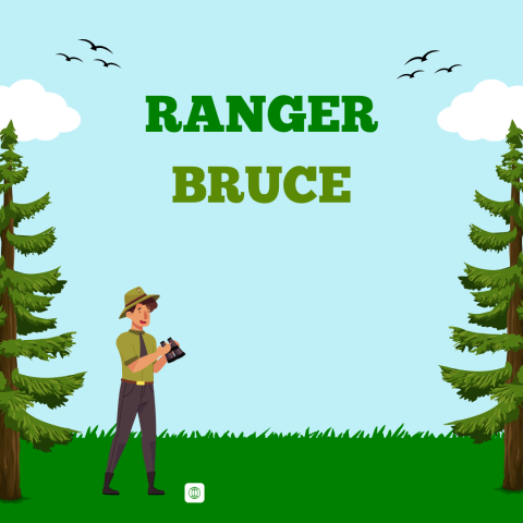 Image has a blue background with grass, trees, and a cartoon ranger. It reads "Ranger Bruce."