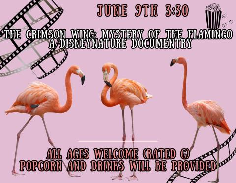 Nature documentary flyer