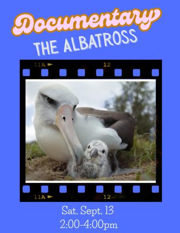albatross and chick