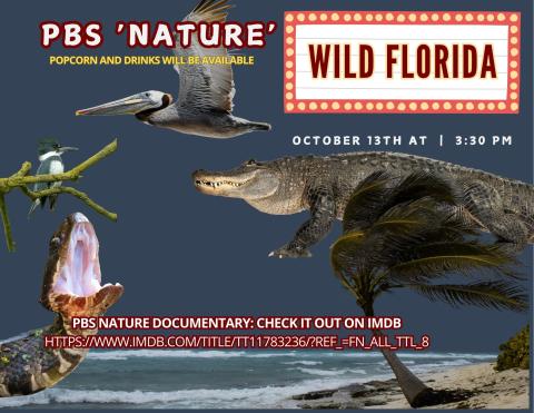 Nature documentary flyer