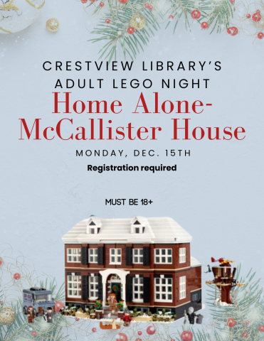 Home alone adult lego