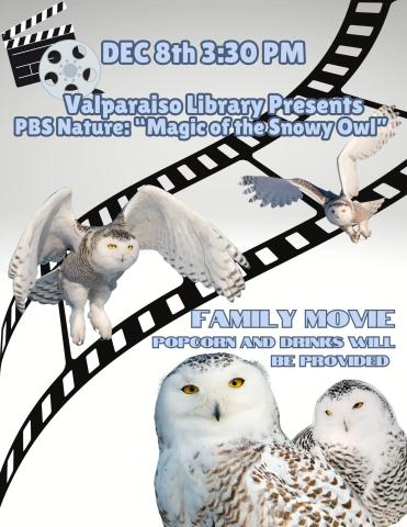 Nature documentary flyer