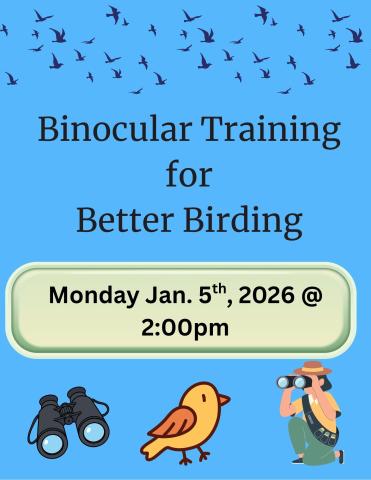 binoculars, bird, person kneeling looking thru binoculars