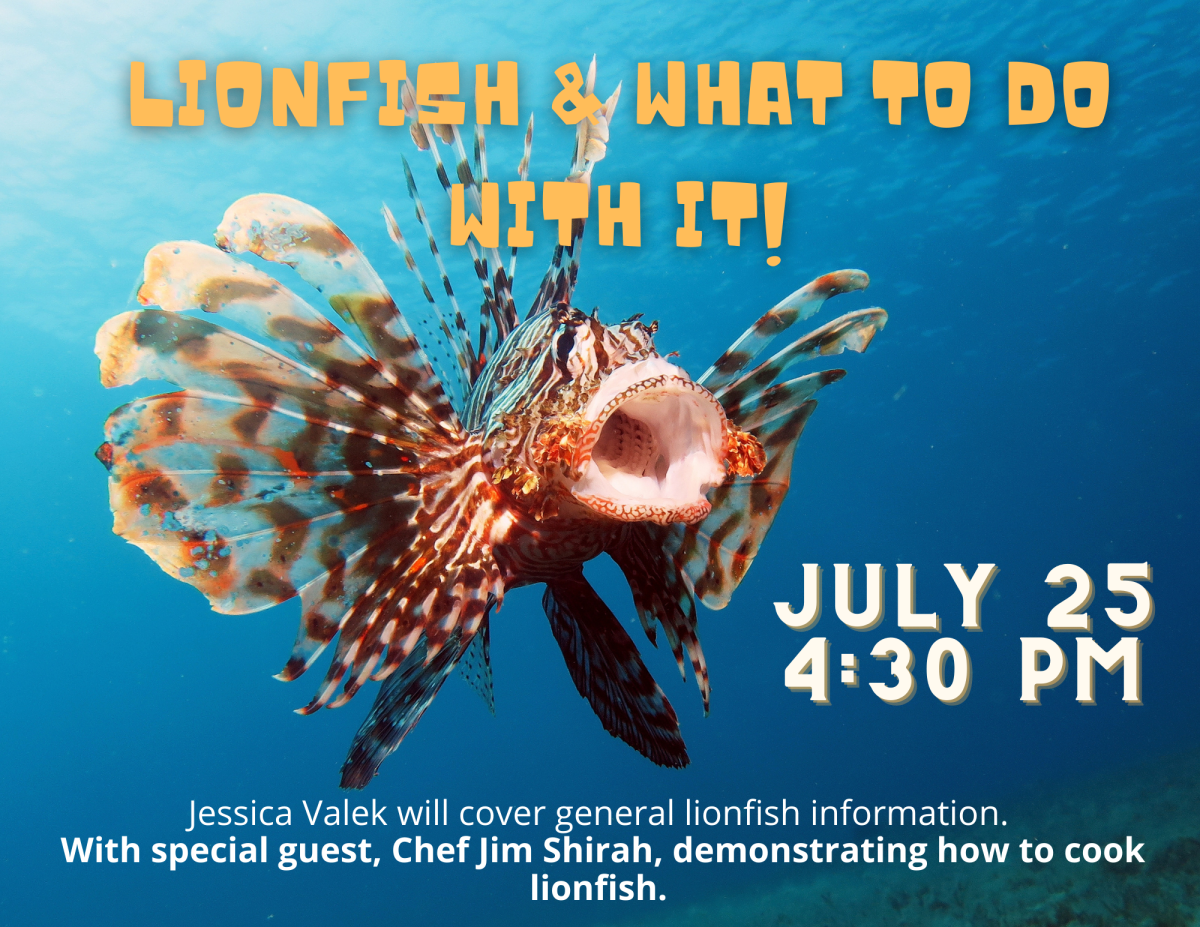 lionfish