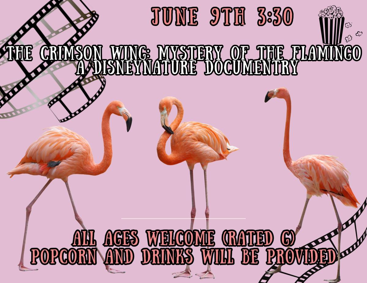 Nature documentary flyer